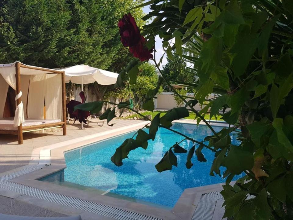 Villa Adonis With Private Pool By Lefkadastay Ngoại thất bức ảnh