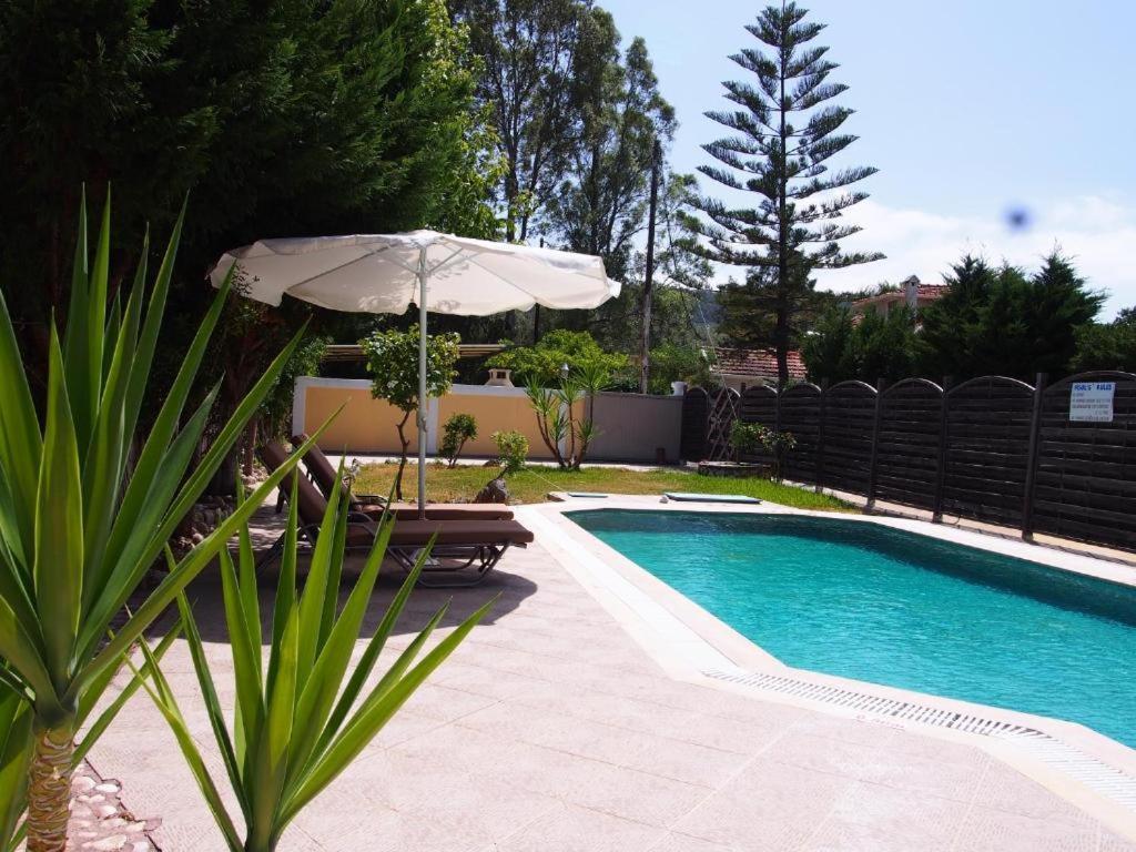 Villa Adonis With Private Pool By Lefkadastay Ngoại thất bức ảnh